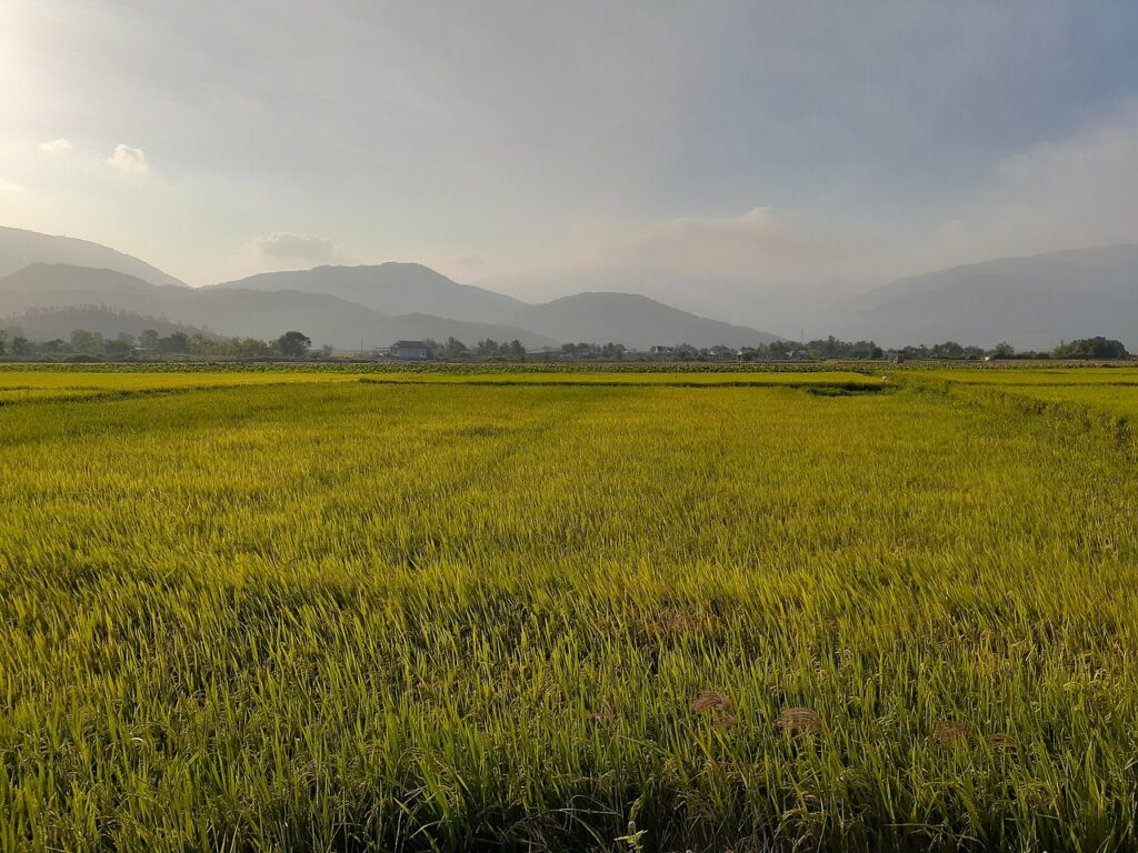 PMSの症状で病院にはどの科に行くべき？