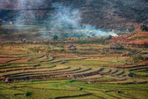 PMSの症状を軽減するためのサプリはPCOSに効果的ですか？