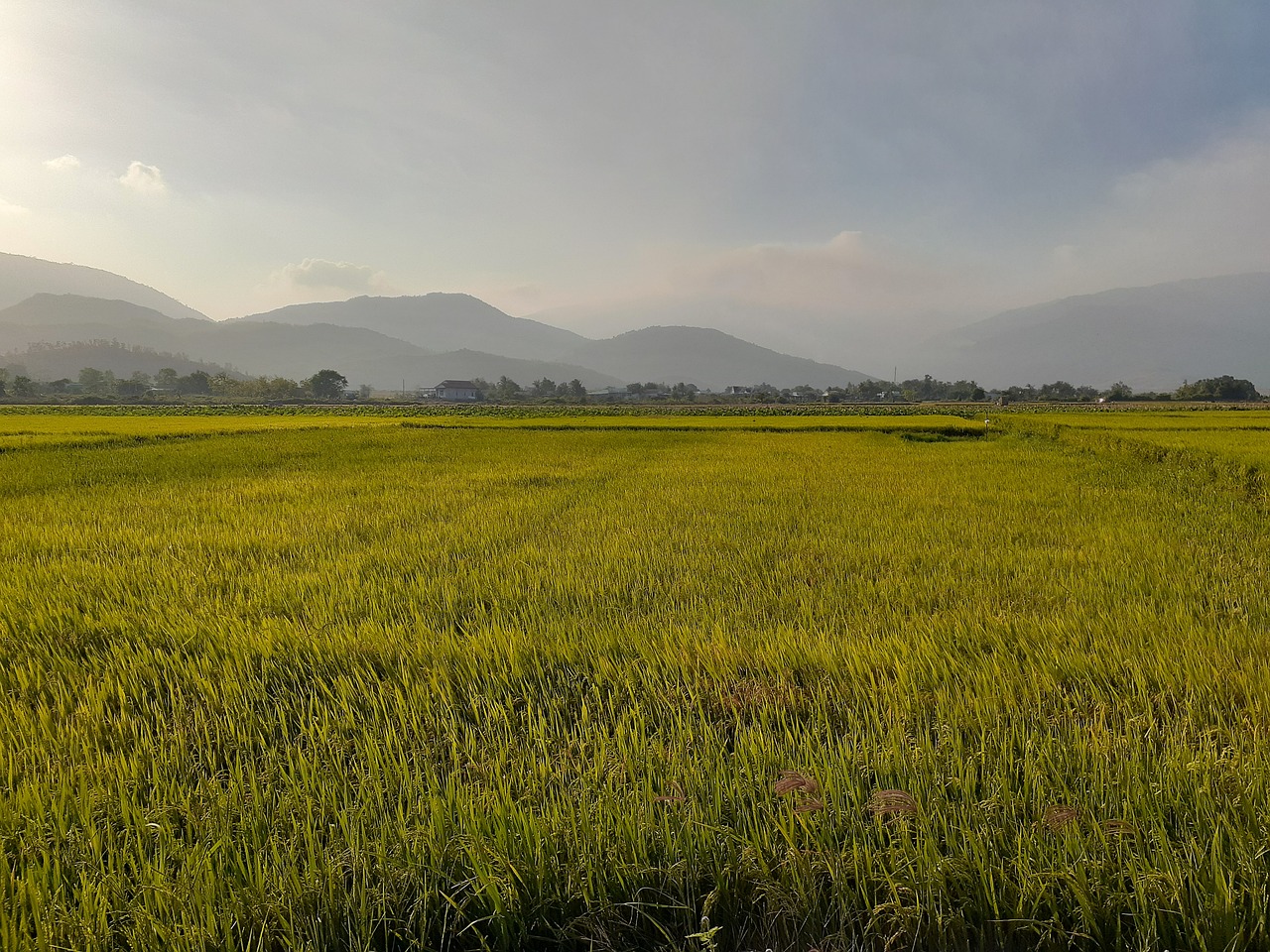 PMSの症状緩和に役立つサプリやフードを取り入れる方法は？