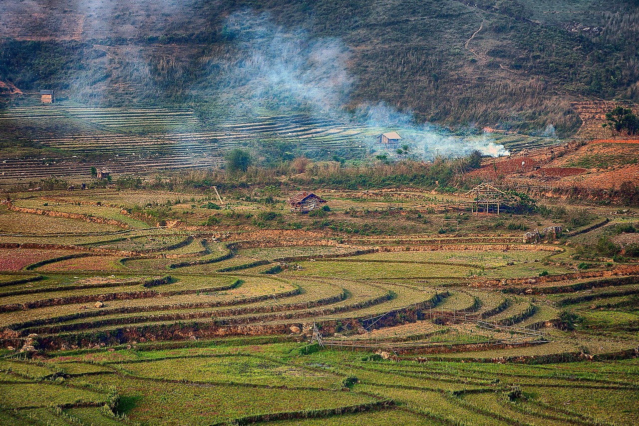 PMSサプリの総合評価はどのようになっているのか？